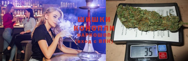 индика Балахна