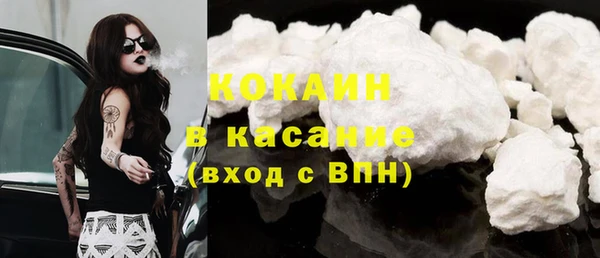 индика Балахна