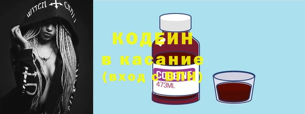 индика Балахна