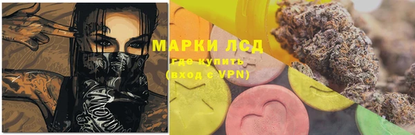 индика Балахна