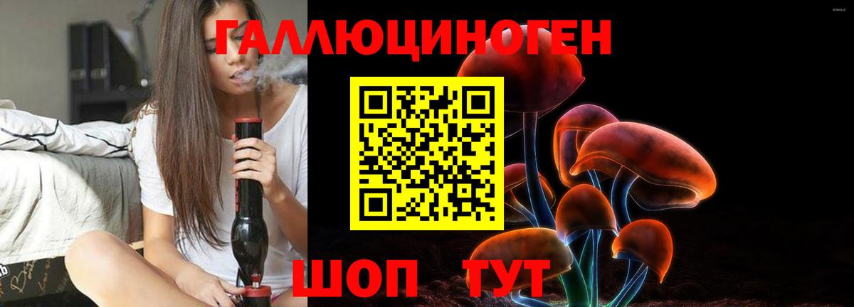 Псилоцибиновые грибы GOLDEN TEACHER  Вход с VPN  Белогорск  Галлюциногенные грибы MAGIC MUSHROOMS 